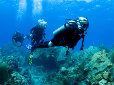 DiversInnMX features specialty dives and eLearning dive training