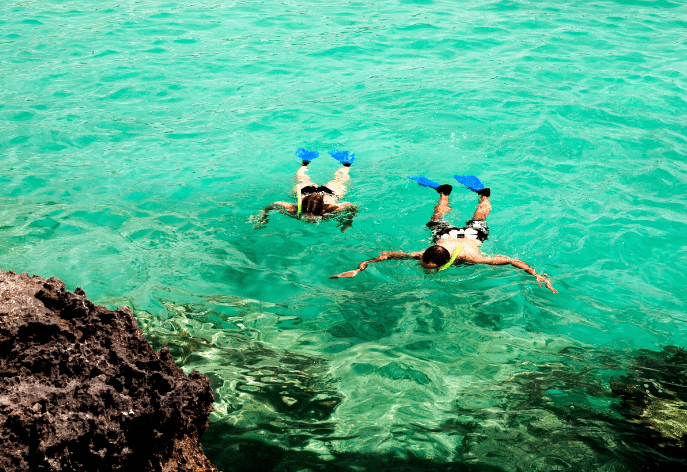 snorkeling in Baja Sur on the Sea of Cortez with DiversInnMX