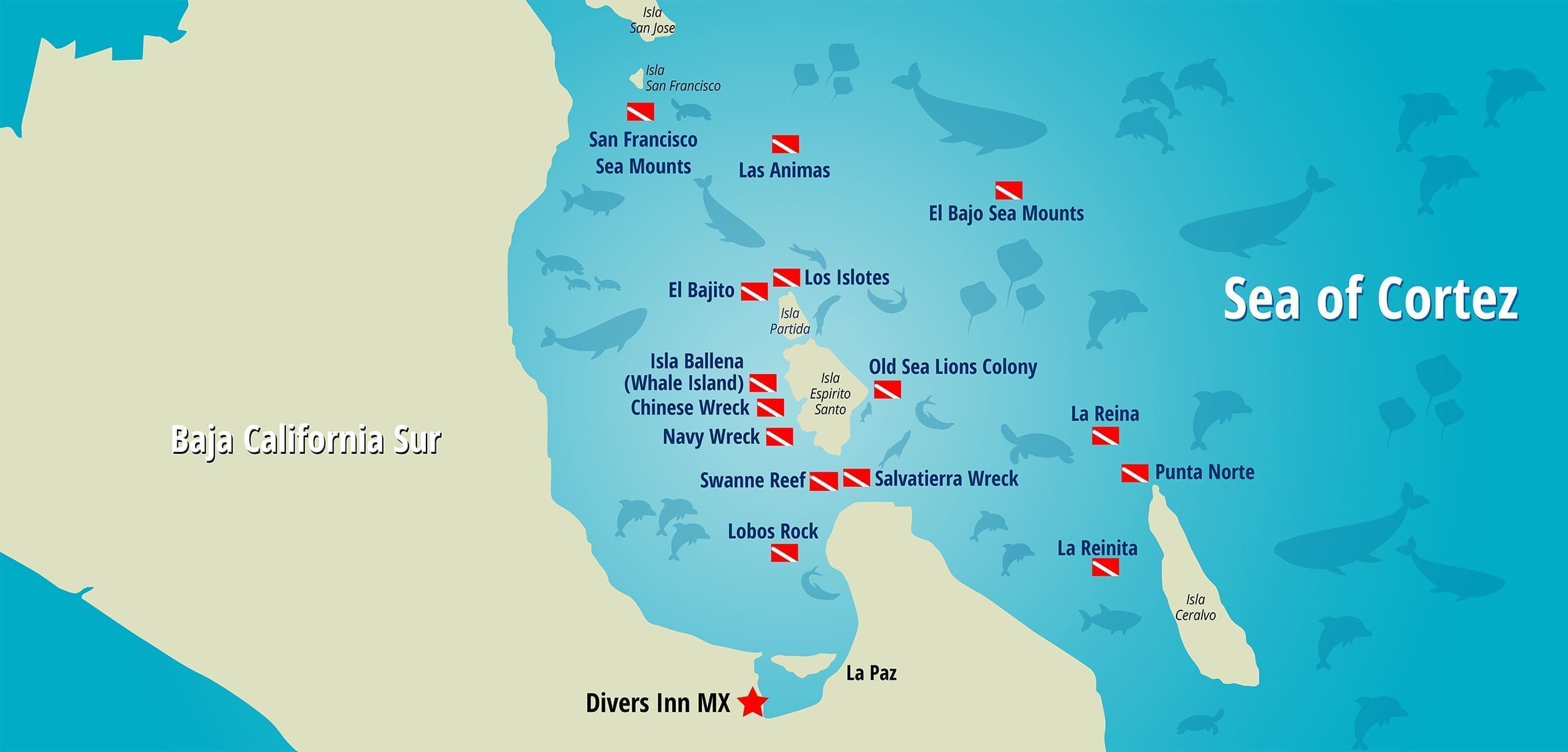 Dive locations in the Sea of Cortez with DiversInn MX