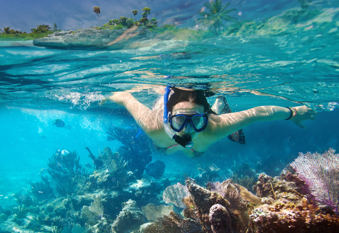 snorkel at DiversInnMX