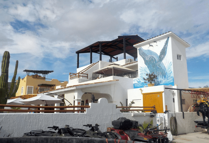 DiversInnMX on the Sea of La Paz stay at DiversInnMX on the Sea of La Paz