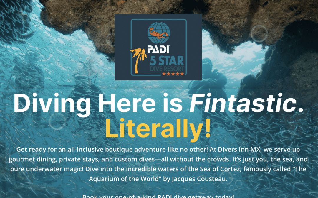 dive into our new website at DiversInnMX