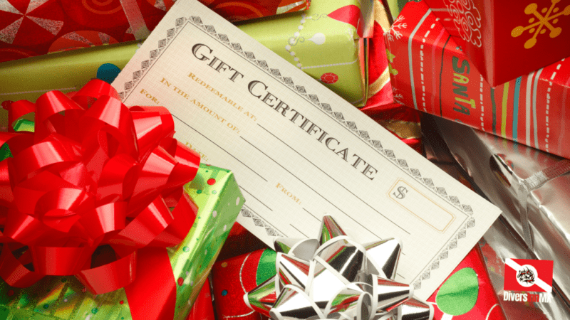 CHRISTMAS Gift Certificate