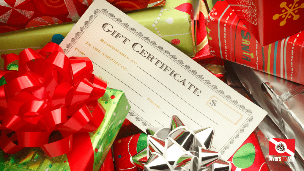 DiversInnMX Christmas Gift Certificate CHRISTMAS Gift Certificate