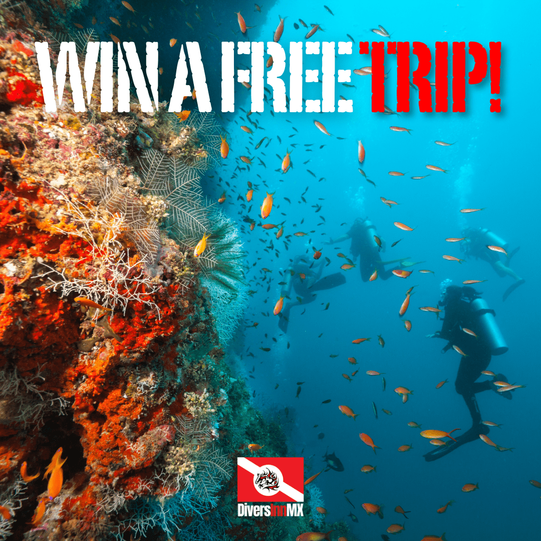 Win a FREE trip!